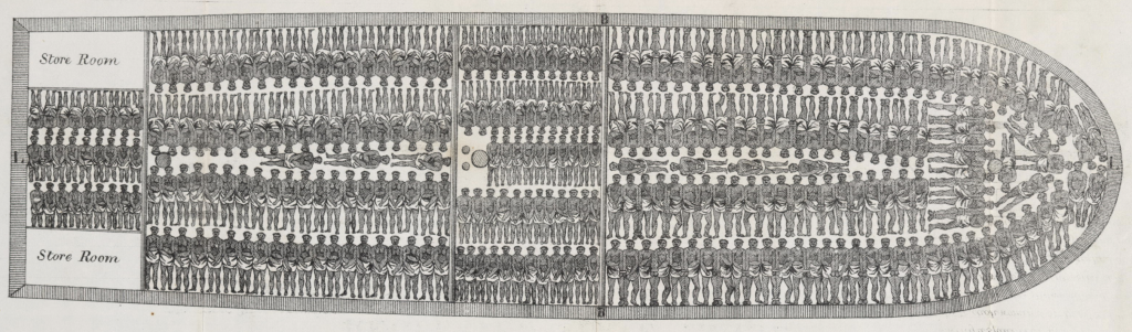 cross section drawing of ship carrying enslaved people