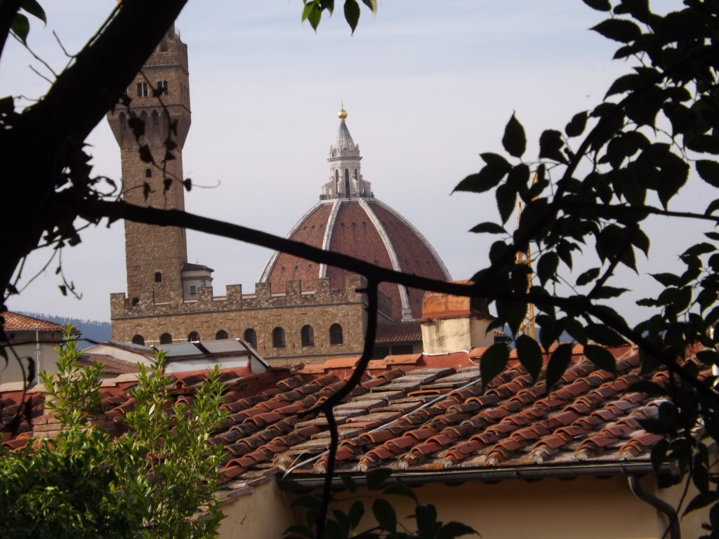 Dumo over tile rooftop, view from Costa Scarpuccia