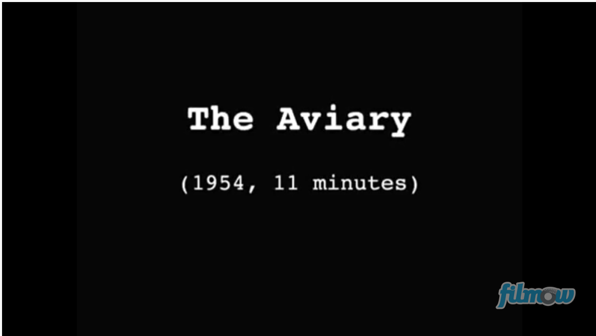 screen shot of title of film the aviary