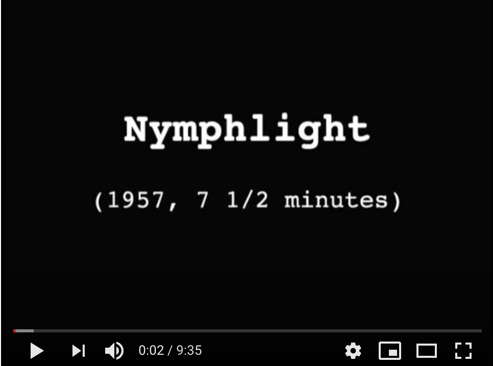 screen shot of title of film nymphlight